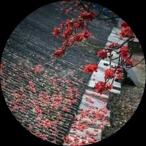 Picsart profile picture for @vigilance