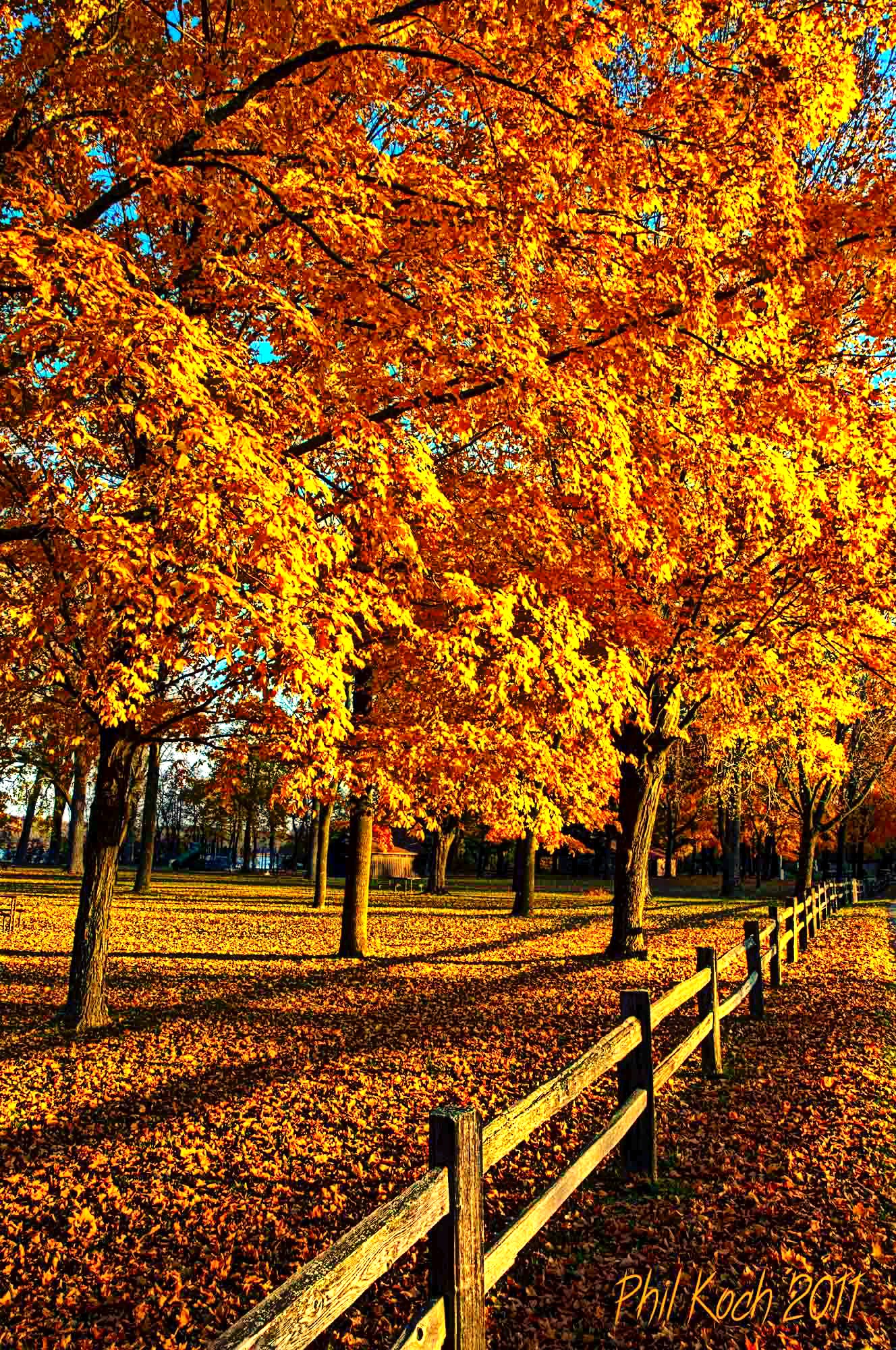 Autumn in Wisconsin. orange fall autumn...