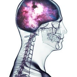 Popular And Trending Brain Images Picsart