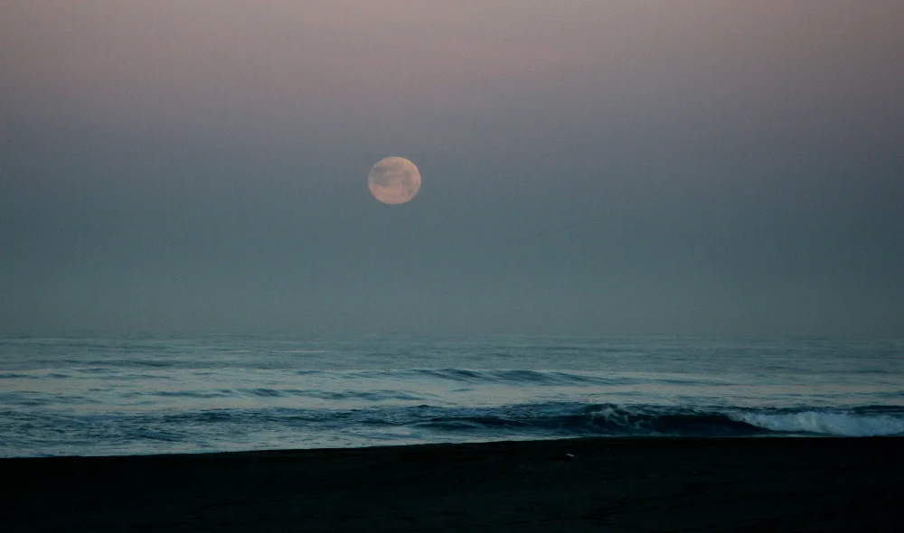 #moonsetting #photography  #predawn