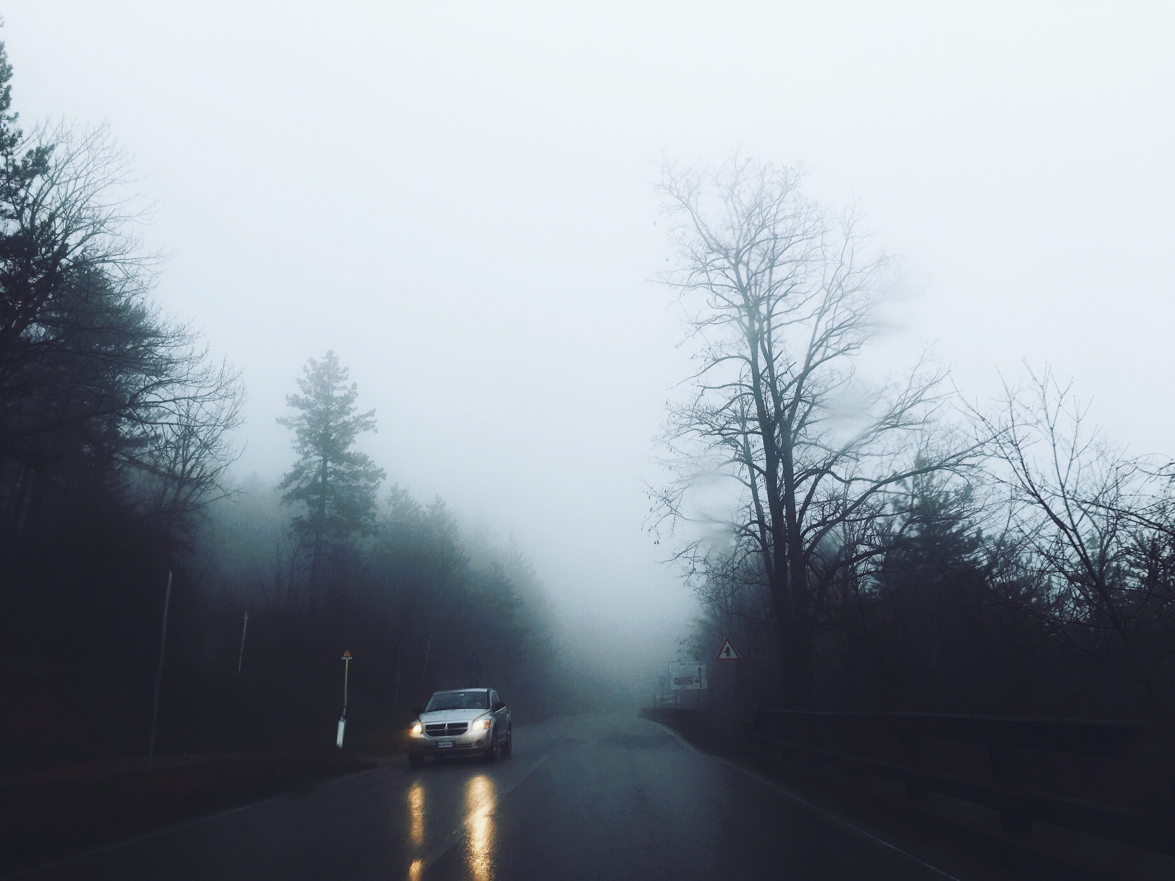 chasingfog fog foggy road drive freetoedit